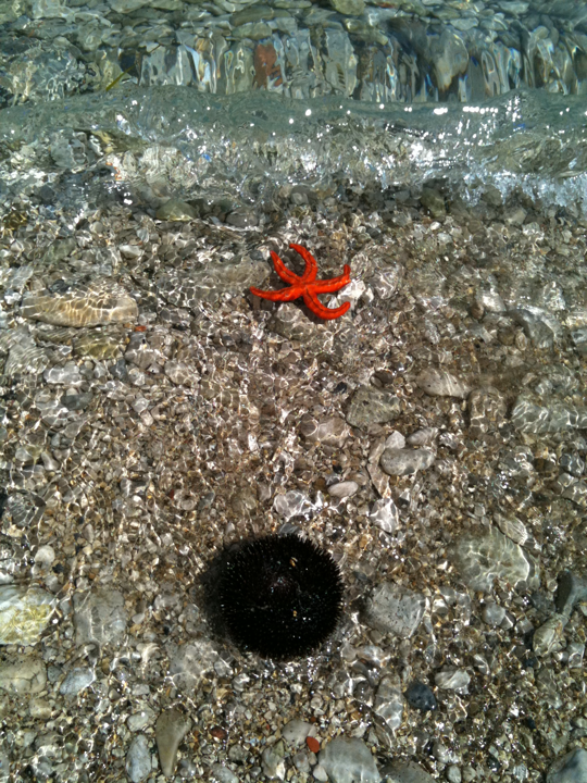 Picture_127